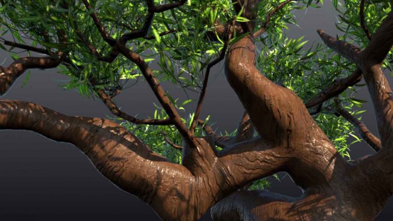 مدل 3D درخت